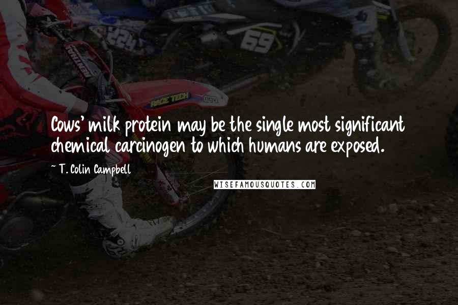 T. Colin Campbell Quotes: Cows' milk protein may be the single most significant chemical carcinogen to which humans are exposed.