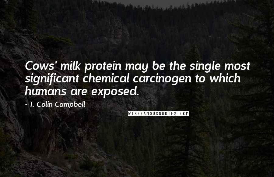 T. Colin Campbell Quotes: Cows' milk protein may be the single most significant chemical carcinogen to which humans are exposed.