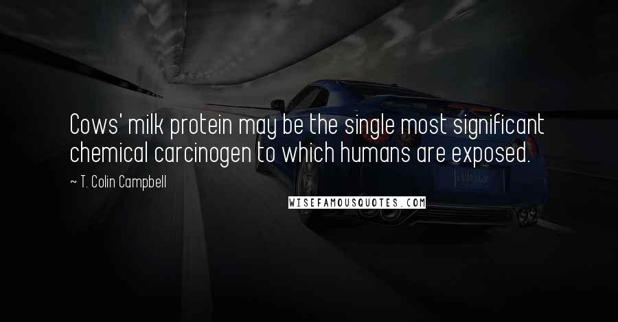 T. Colin Campbell Quotes: Cows' milk protein may be the single most significant chemical carcinogen to which humans are exposed.