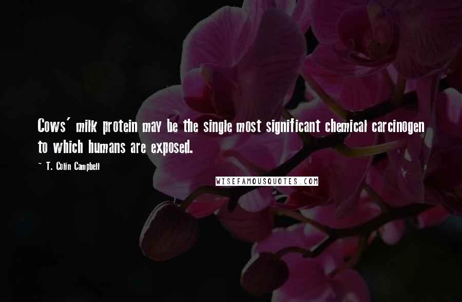 T. Colin Campbell Quotes: Cows' milk protein may be the single most significant chemical carcinogen to which humans are exposed.