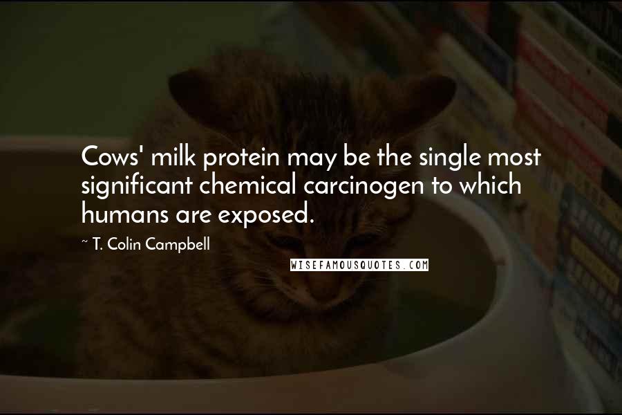 T. Colin Campbell Quotes: Cows' milk protein may be the single most significant chemical carcinogen to which humans are exposed.