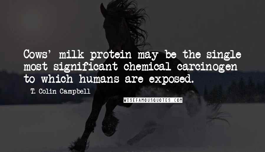 T. Colin Campbell Quotes: Cows' milk protein may be the single most significant chemical carcinogen to which humans are exposed.