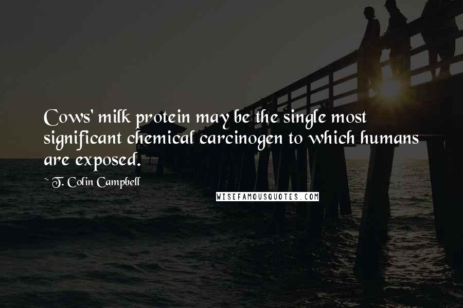 T. Colin Campbell Quotes: Cows' milk protein may be the single most significant chemical carcinogen to which humans are exposed.