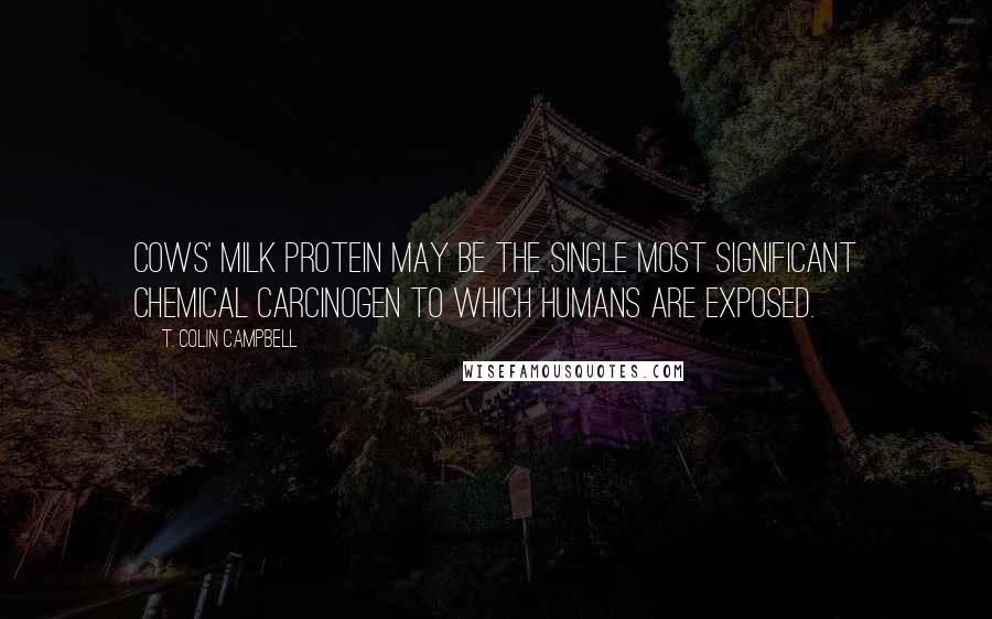 T. Colin Campbell Quotes: Cows' milk protein may be the single most significant chemical carcinogen to which humans are exposed.