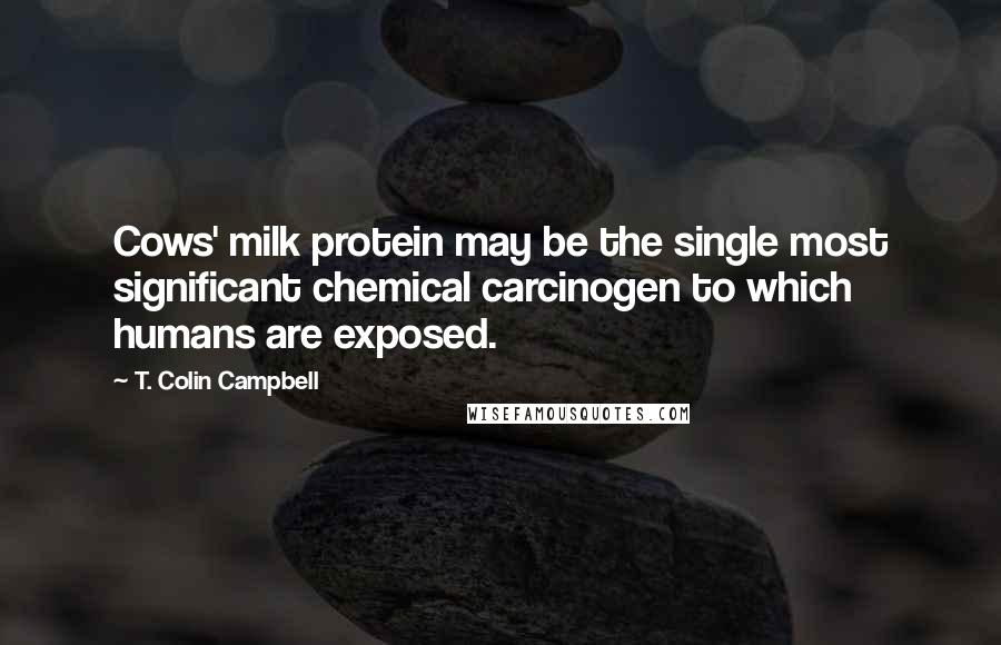 T. Colin Campbell Quotes: Cows' milk protein may be the single most significant chemical carcinogen to which humans are exposed.