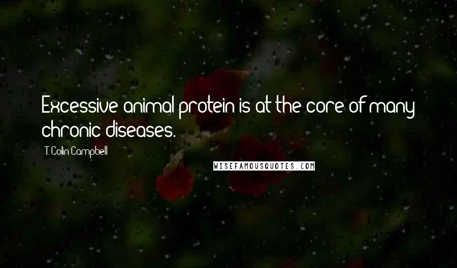 T. Colin Campbell Quotes: Excessive animal protein is at the core of many chronic diseases.