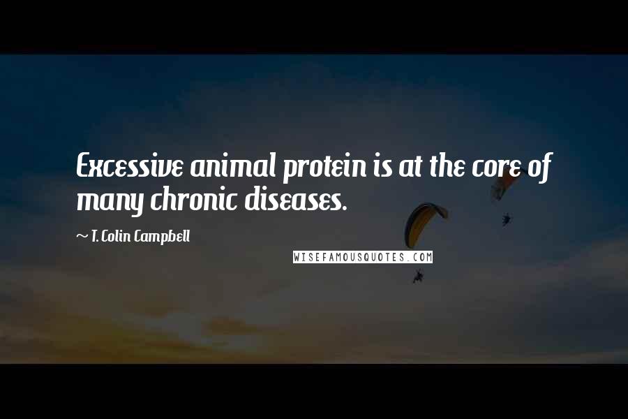 T. Colin Campbell Quotes: Excessive animal protein is at the core of many chronic diseases.