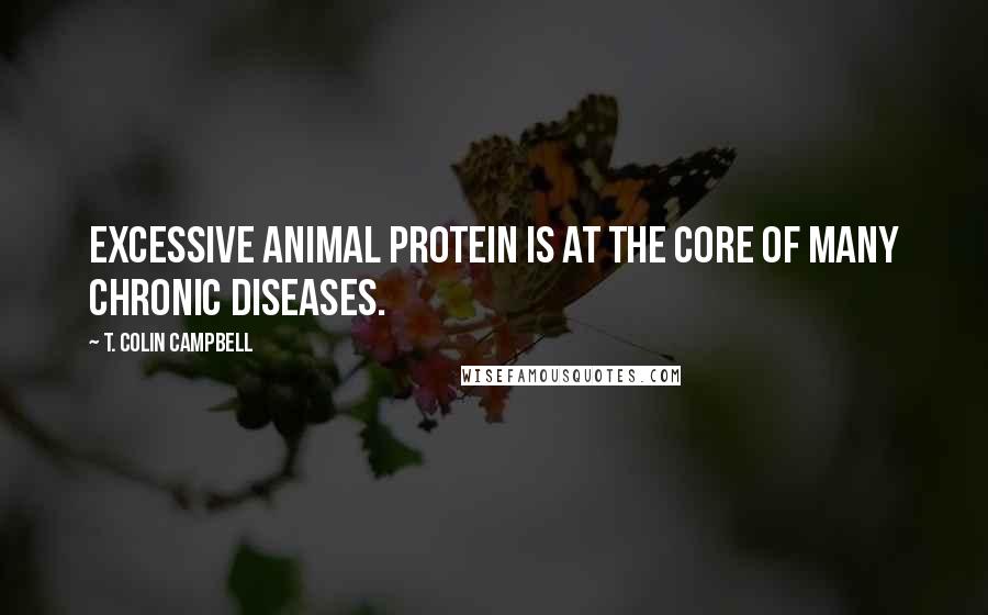 T. Colin Campbell Quotes: Excessive animal protein is at the core of many chronic diseases.