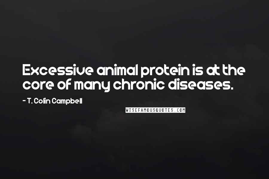 T. Colin Campbell Quotes: Excessive animal protein is at the core of many chronic diseases.