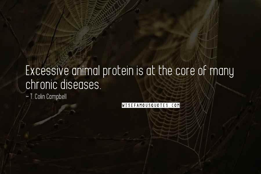 T. Colin Campbell Quotes: Excessive animal protein is at the core of many chronic diseases.