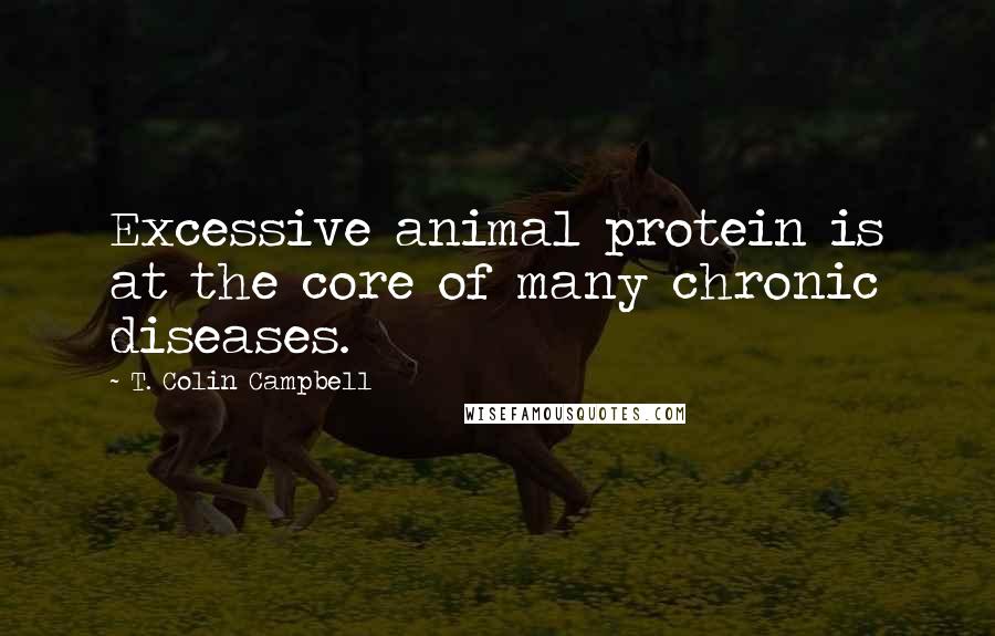 T. Colin Campbell Quotes: Excessive animal protein is at the core of many chronic diseases.