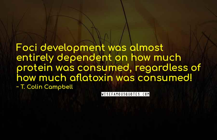 T. Colin Campbell Quotes: Foci development was almost entirely dependent on how much protein was consumed, regardless of how much aflatoxin was consumed!