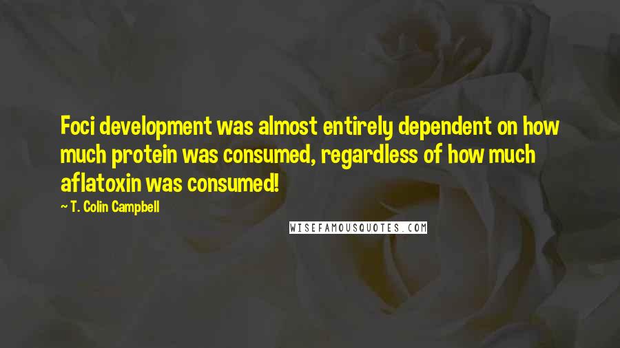 T. Colin Campbell Quotes: Foci development was almost entirely dependent on how much protein was consumed, regardless of how much aflatoxin was consumed!