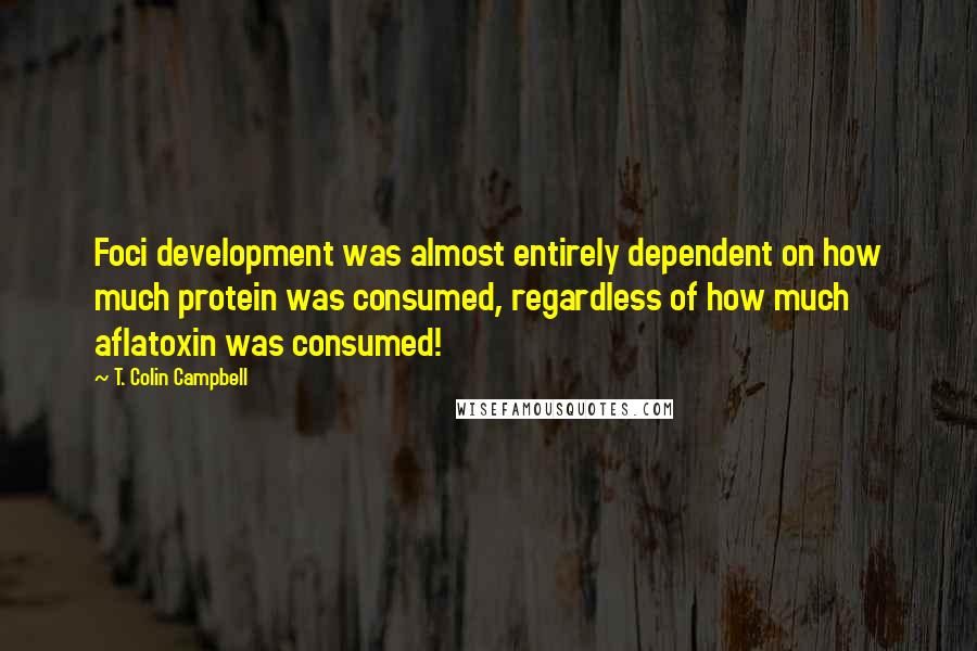 T. Colin Campbell Quotes: Foci development was almost entirely dependent on how much protein was consumed, regardless of how much aflatoxin was consumed!