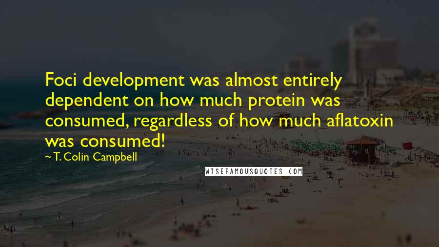 T. Colin Campbell Quotes: Foci development was almost entirely dependent on how much protein was consumed, regardless of how much aflatoxin was consumed!