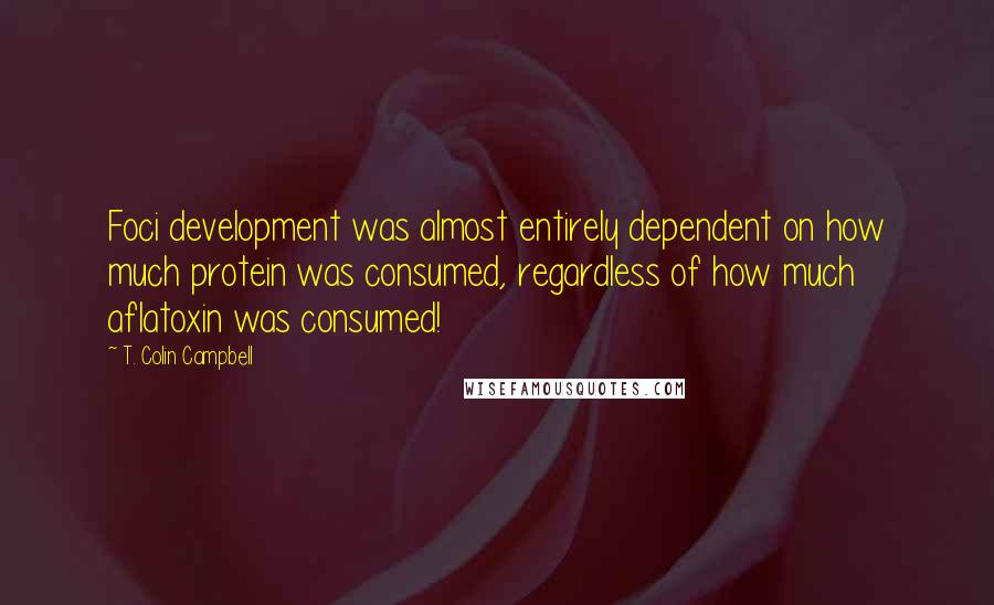 T. Colin Campbell Quotes: Foci development was almost entirely dependent on how much protein was consumed, regardless of how much aflatoxin was consumed!