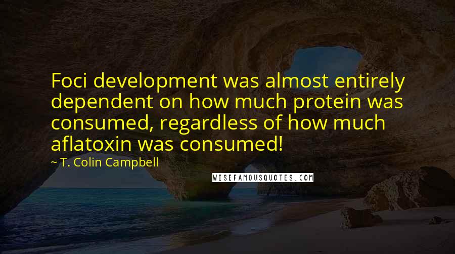T. Colin Campbell Quotes: Foci development was almost entirely dependent on how much protein was consumed, regardless of how much aflatoxin was consumed!