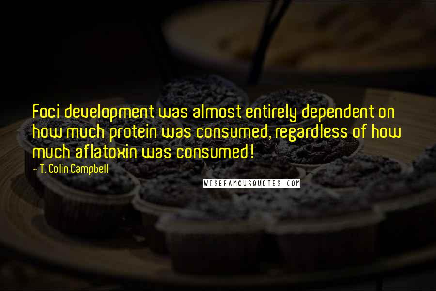 T. Colin Campbell Quotes: Foci development was almost entirely dependent on how much protein was consumed, regardless of how much aflatoxin was consumed!