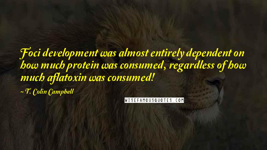 T. Colin Campbell Quotes: Foci development was almost entirely dependent on how much protein was consumed, regardless of how much aflatoxin was consumed!