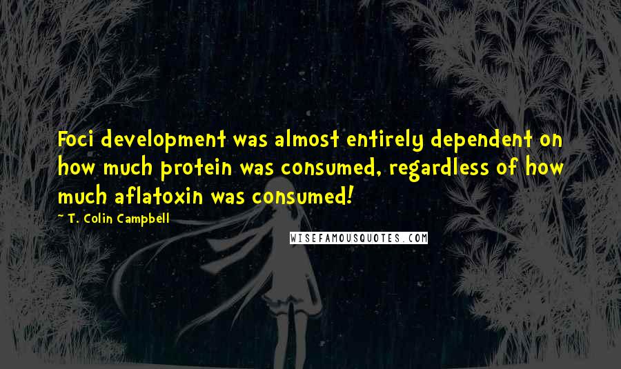 T. Colin Campbell Quotes: Foci development was almost entirely dependent on how much protein was consumed, regardless of how much aflatoxin was consumed!