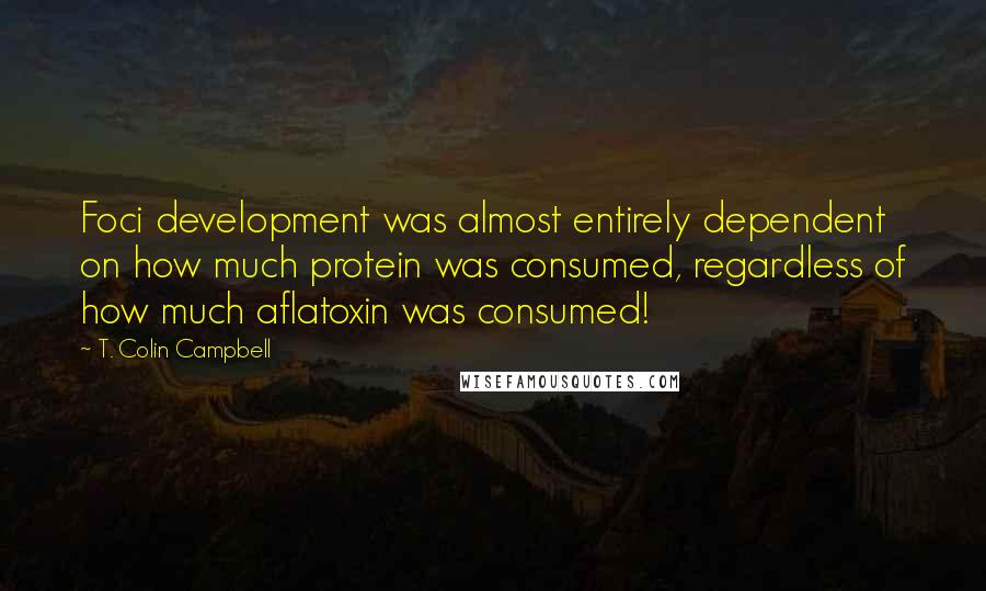 T. Colin Campbell Quotes: Foci development was almost entirely dependent on how much protein was consumed, regardless of how much aflatoxin was consumed!