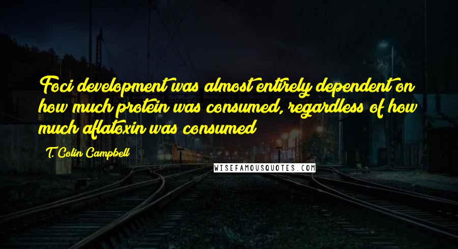 T. Colin Campbell Quotes: Foci development was almost entirely dependent on how much protein was consumed, regardless of how much aflatoxin was consumed!