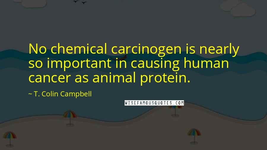 T. Colin Campbell Quotes: No chemical carcinogen is nearly so important in causing human cancer as animal protein.