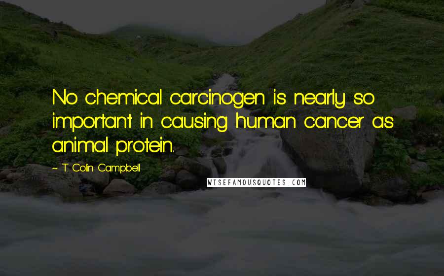 T. Colin Campbell Quotes: No chemical carcinogen is nearly so important in causing human cancer as animal protein.