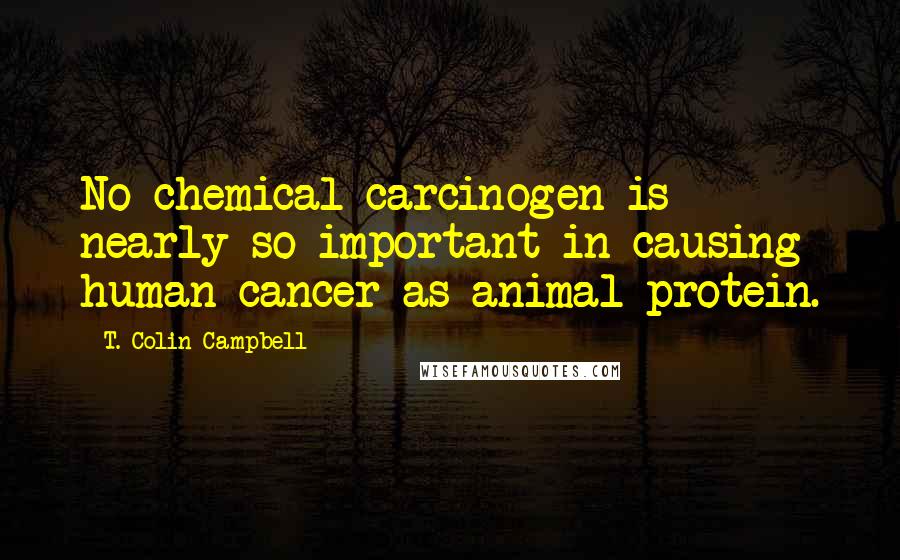 T. Colin Campbell Quotes: No chemical carcinogen is nearly so important in causing human cancer as animal protein.