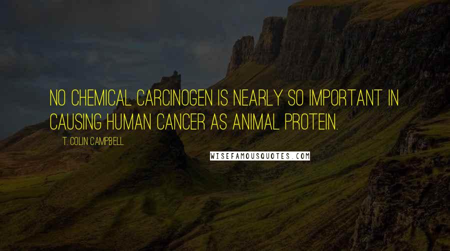 T. Colin Campbell Quotes: No chemical carcinogen is nearly so important in causing human cancer as animal protein.