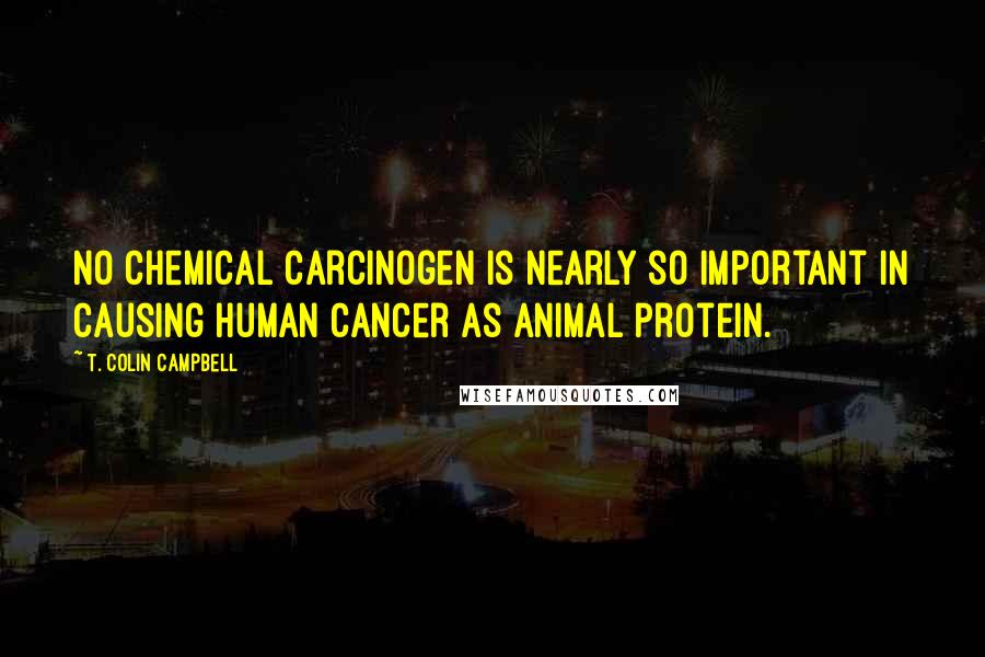 T. Colin Campbell Quotes: No chemical carcinogen is nearly so important in causing human cancer as animal protein.