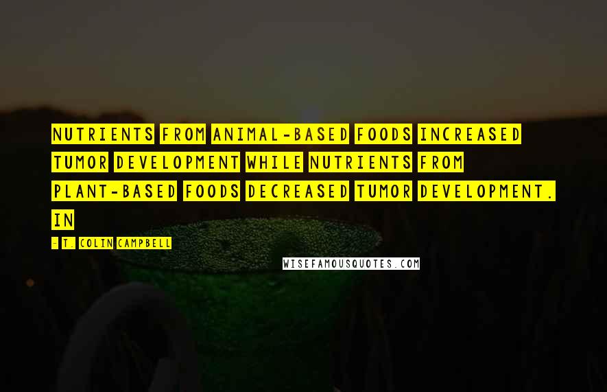 T. Colin Campbell Quotes: Nutrients from animal-based foods increased tumor development while nutrients from plant-based foods decreased tumor development. In