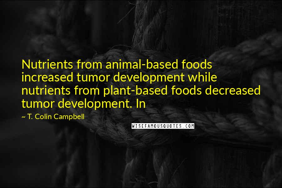 T. Colin Campbell Quotes: Nutrients from animal-based foods increased tumor development while nutrients from plant-based foods decreased tumor development. In