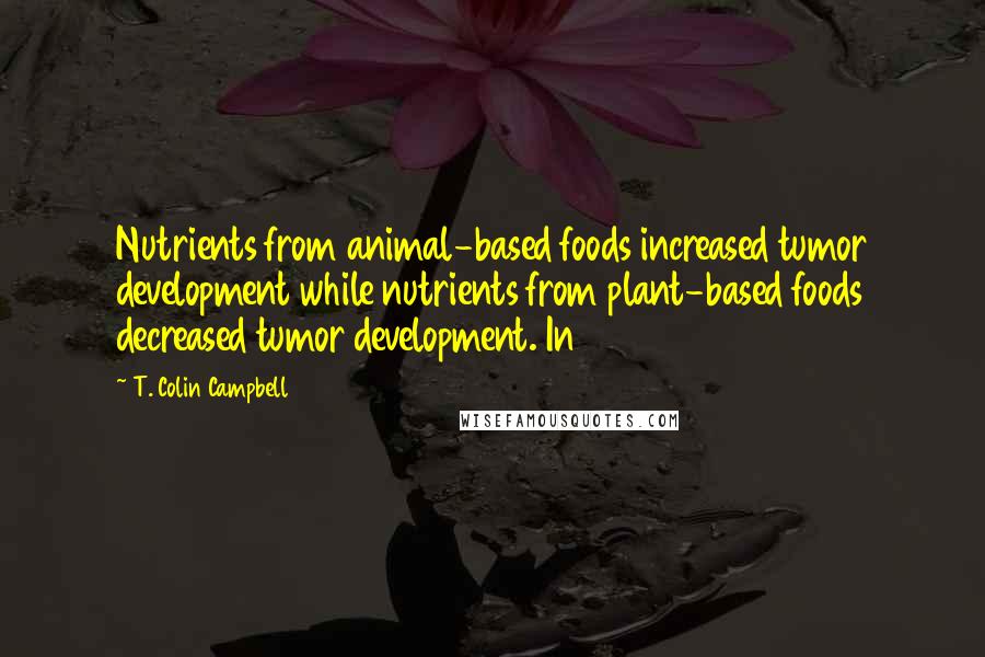 T. Colin Campbell Quotes: Nutrients from animal-based foods increased tumor development while nutrients from plant-based foods decreased tumor development. In