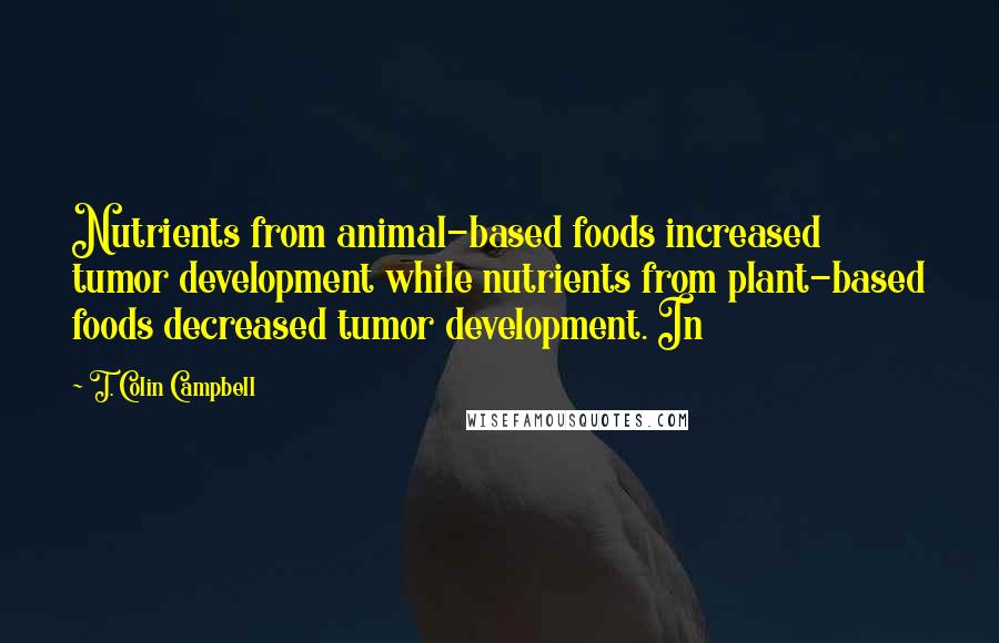 T. Colin Campbell Quotes: Nutrients from animal-based foods increased tumor development while nutrients from plant-based foods decreased tumor development. In