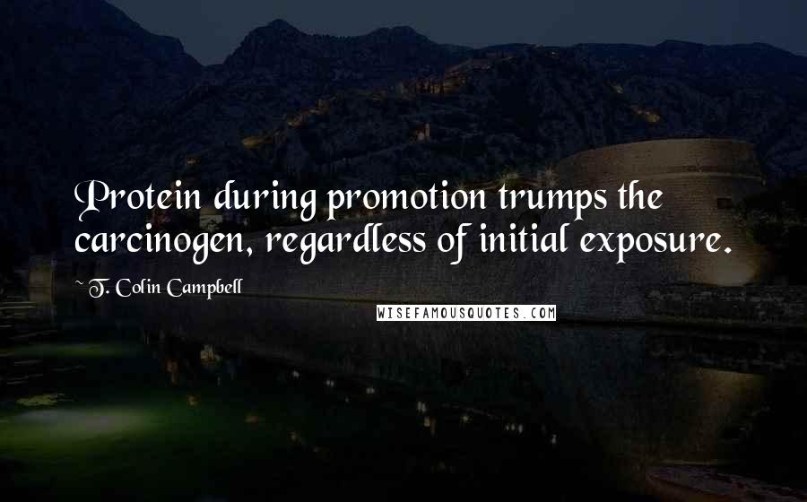 T. Colin Campbell Quotes: Protein during promotion trumps the carcinogen, regardless of initial exposure.