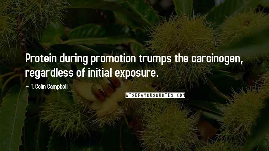 T. Colin Campbell Quotes: Protein during promotion trumps the carcinogen, regardless of initial exposure.