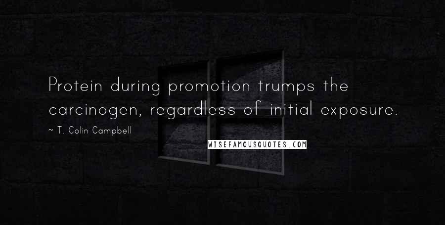 T. Colin Campbell Quotes: Protein during promotion trumps the carcinogen, regardless of initial exposure.