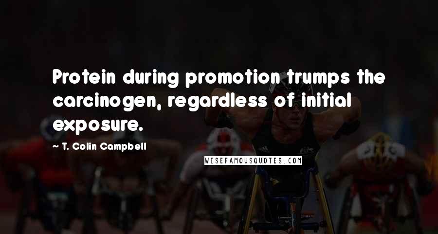 T. Colin Campbell Quotes: Protein during promotion trumps the carcinogen, regardless of initial exposure.