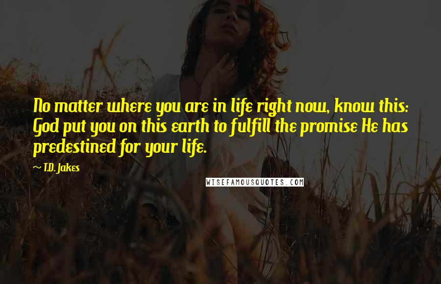 T.D. Jakes Quotes: No matter where you are in life right now, know this: God put you on this earth to fulfill the promise He has predestined for your life.