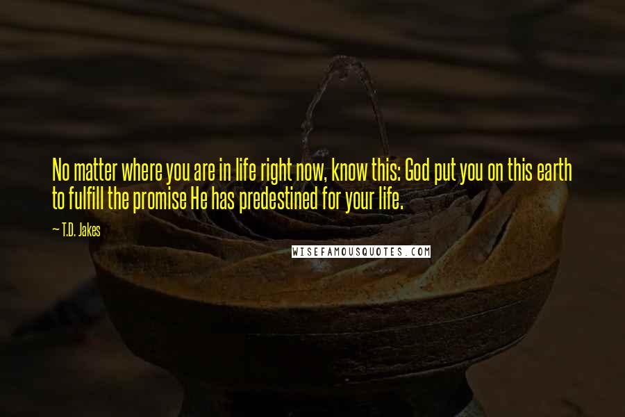 T.D. Jakes Quotes: No matter where you are in life right now, know this: God put you on this earth to fulfill the promise He has predestined for your life.