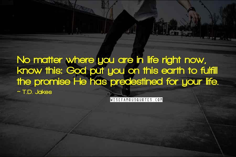 T.D. Jakes Quotes: No matter where you are in life right now, know this: God put you on this earth to fulfill the promise He has predestined for your life.