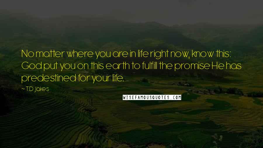 T.D. Jakes Quotes: No matter where you are in life right now, know this: God put you on this earth to fulfill the promise He has predestined for your life.