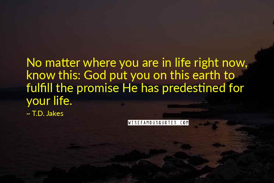 T.D. Jakes Quotes: No matter where you are in life right now, know this: God put you on this earth to fulfill the promise He has predestined for your life.