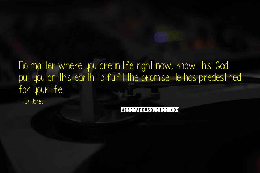 T.D. Jakes Quotes: No matter where you are in life right now, know this: God put you on this earth to fulfill the promise He has predestined for your life.