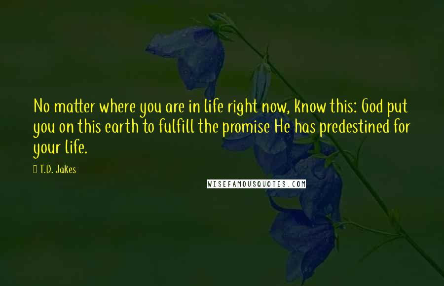 T.D. Jakes Quotes: No matter where you are in life right now, know this: God put you on this earth to fulfill the promise He has predestined for your life.