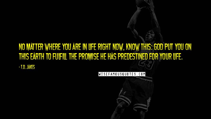 T.D. Jakes Quotes: No matter where you are in life right now, know this: God put you on this earth to fulfill the promise He has predestined for your life.