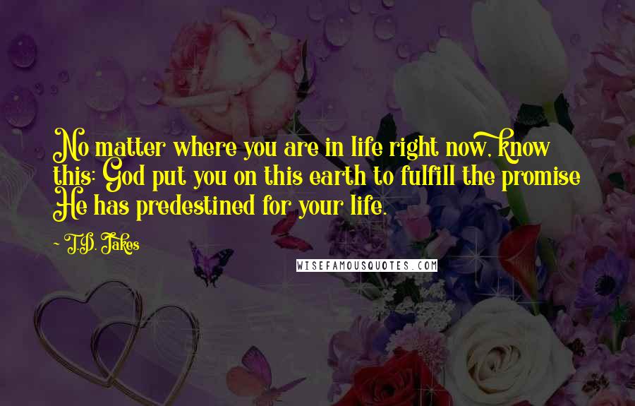 T.D. Jakes Quotes: No matter where you are in life right now, know this: God put you on this earth to fulfill the promise He has predestined for your life.