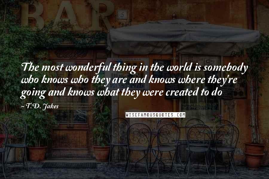 T.D. Jakes Quotes: The most wonderful thing in the world is somebody who knows who they are and knows where they're going and knows what they were created to do