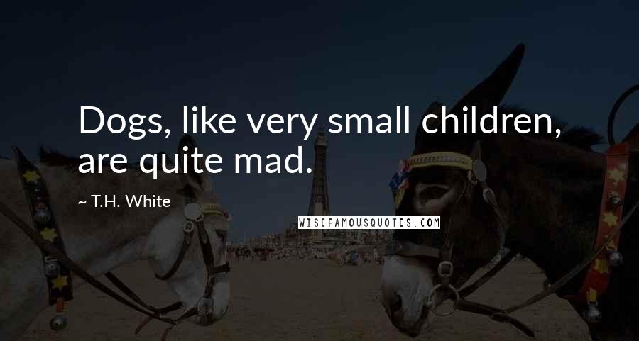 T.H. White Quotes: Dogs, like very small children, are quite mad.